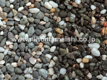 洗い出し用骨材「海浜砂利」の見本